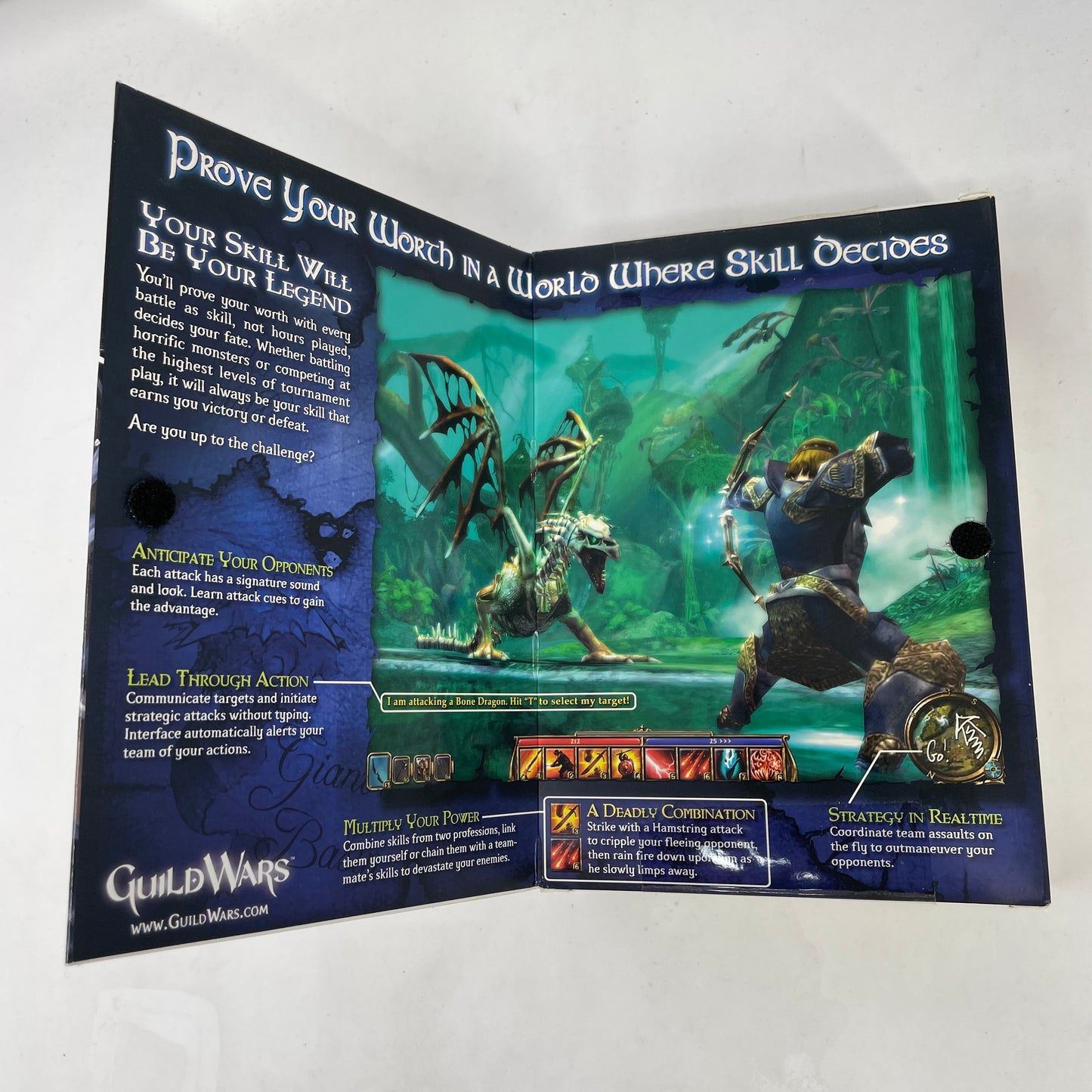 Guild Wars (PC, 2006)
