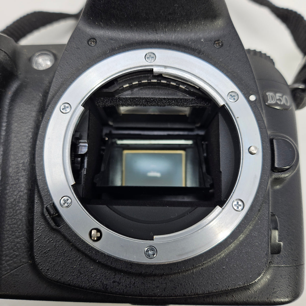 Nikon D50 6.1MP Digital SLR DSLR Camera