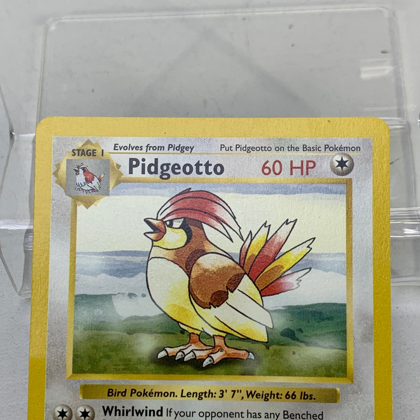 Pokémon TCG Base Set Pidgeotto [Shadowless] 22/102 Regular English