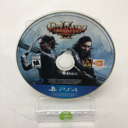 Divinity: Original Sin II: Definitive Edition (Sony PlayStation 4 PS4, 2018)