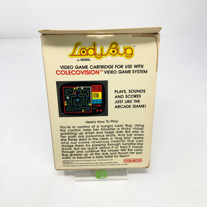 New Lady Bug (Coleco Vision, 1981)