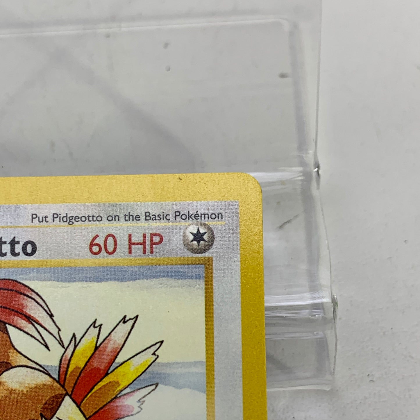 Pokémon TCG Base Set Pidgeotto [Shadowless] 22/102 Regular English