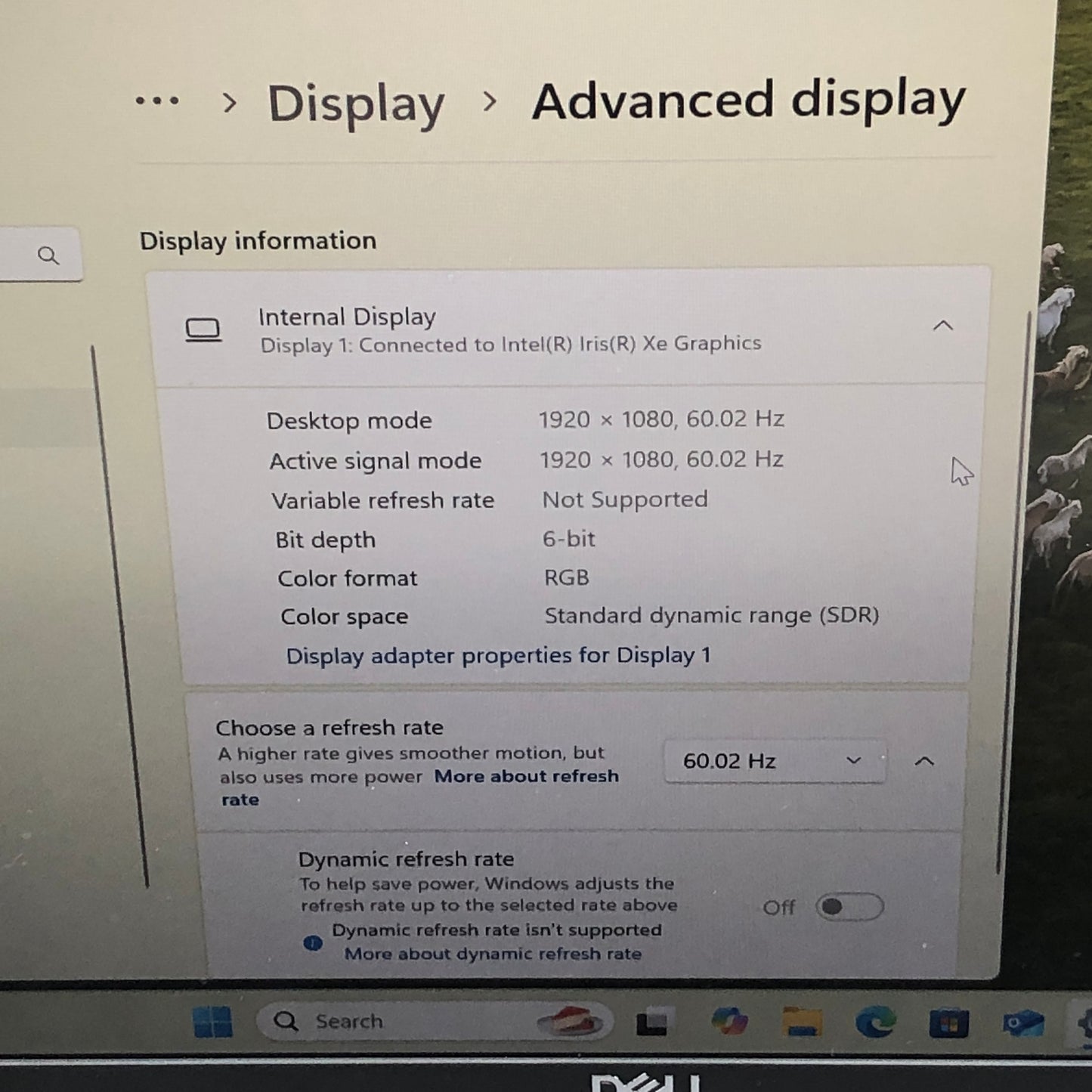 Dell Latitude 7430 14" i5-1245U 1.6GHz 32GB RAM 512GB SSD