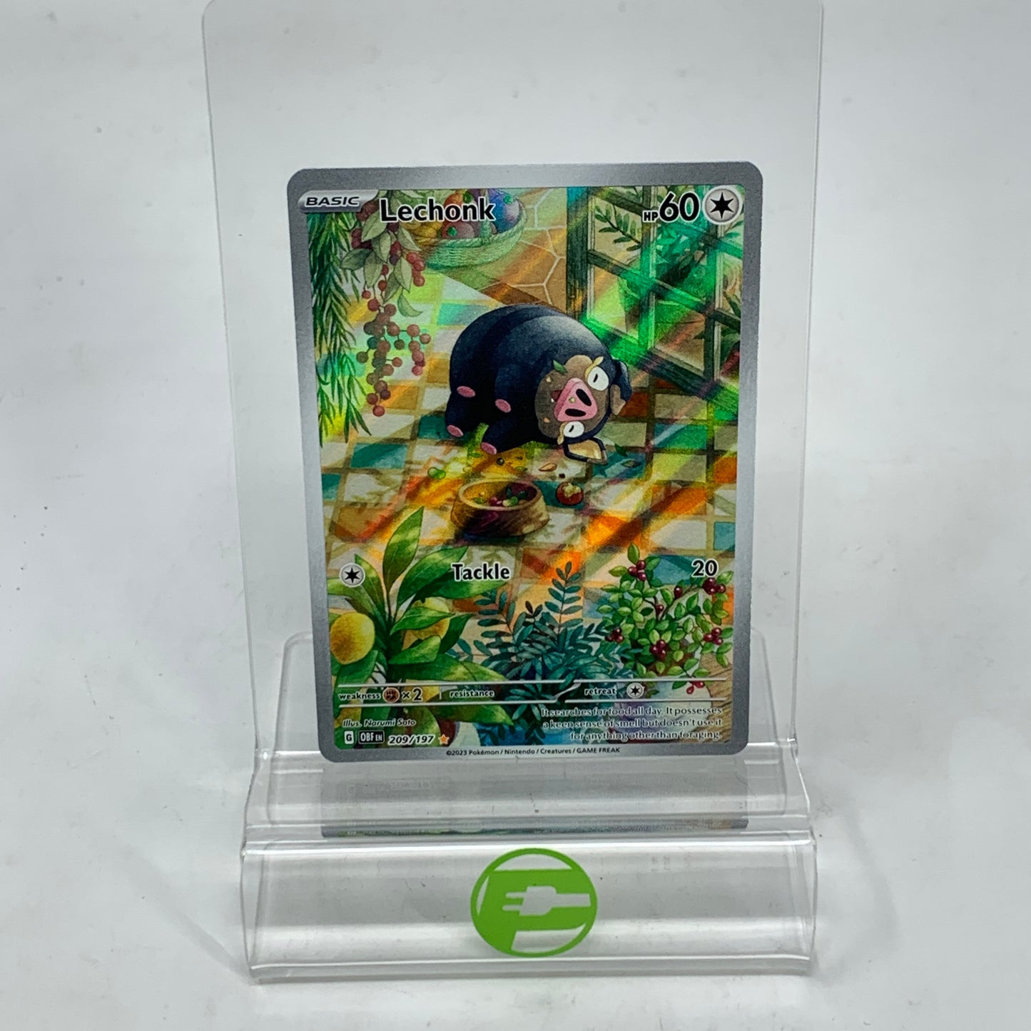 Pokémon TCG Scarlet & Violet - Obsidian Flames Lechonk 209/197 English