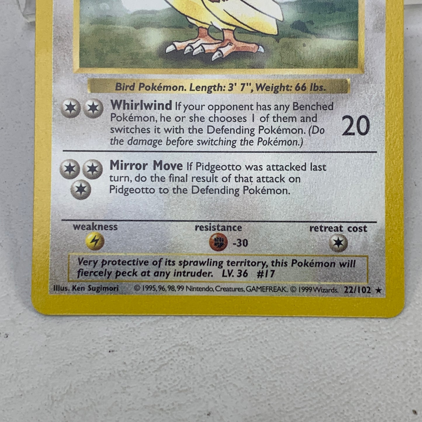 Pokémon TCG Base Set Pidgeotto [Shadowless] 22/102 Regular English