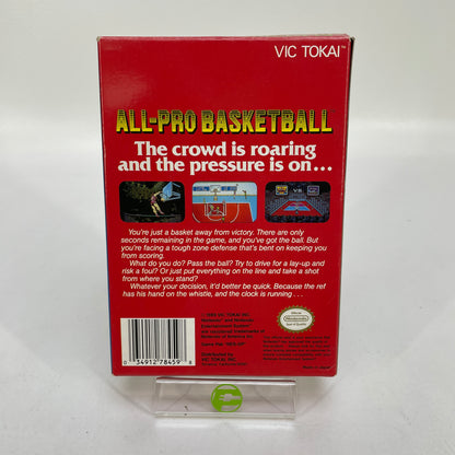 All-Pro Basketball (Nintendo NES, 1989)