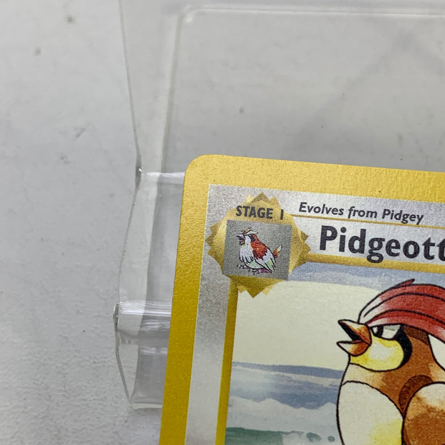 Pokémon TCG Base Set Pidgeotto [Shadowless] 22/102 Regular English