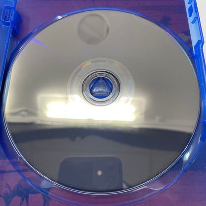 Red Dead Redemption 2 (Sony PlayStation 4 PS4, 2018)
