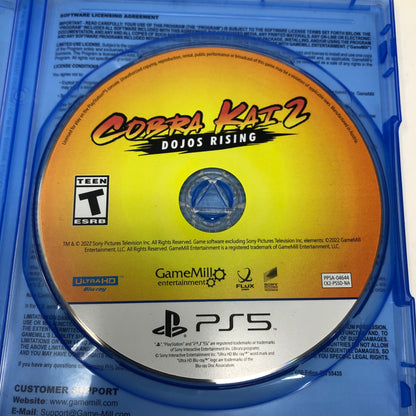 Cobra Kai 2: Dojos Rising (Sony PlayStation 5 PS5, 2022)