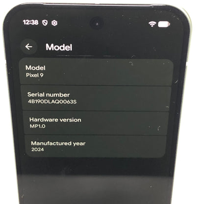 Unlocked Google Pixel 9 256GB Wintergreen GA05844-US